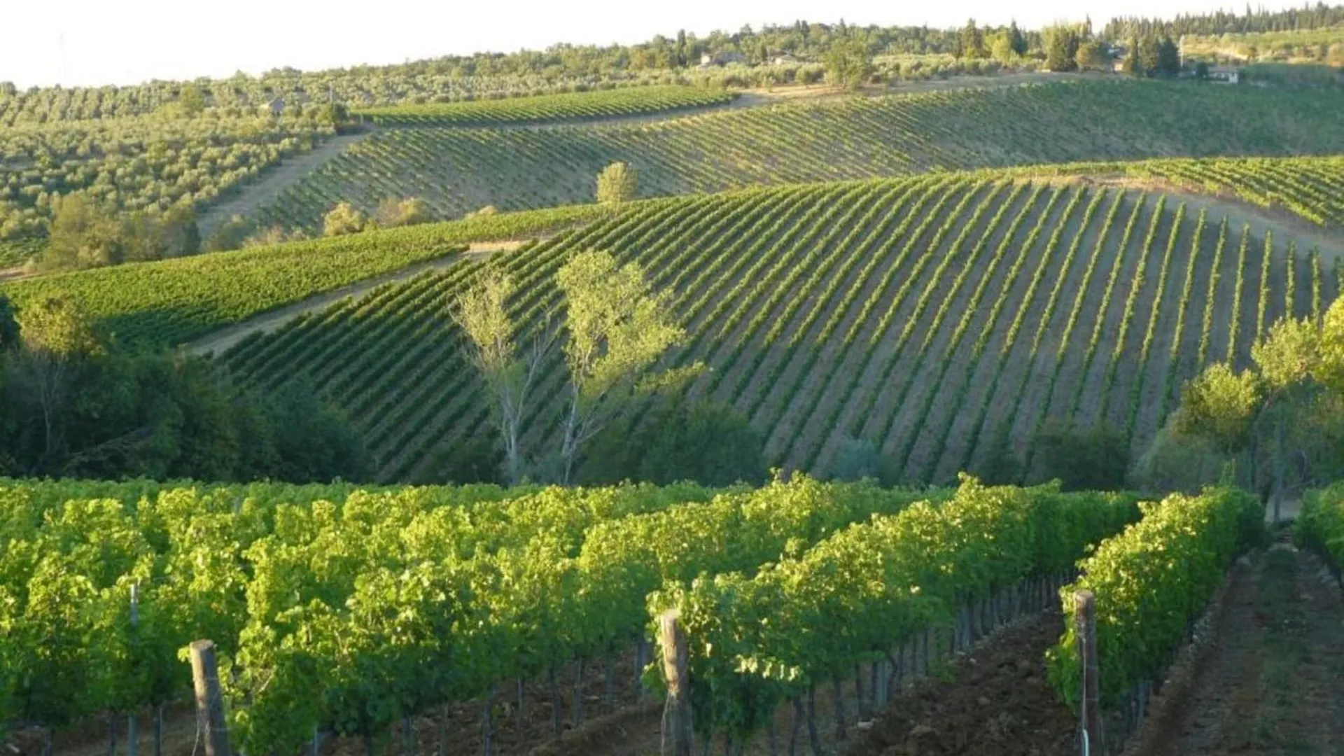 Belvilla By Oyo Il Camino Montespertoli Olaszország